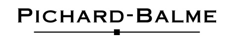 Pichard-Balme logo vecteur [Converti]